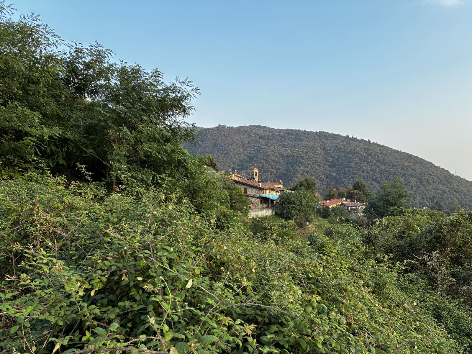 Le case di Civine con il campanile, raccolte sul fianco della collina fra la vegetazione, e alle spalle un monte ricoperto di boschi sotto un cielo sereno.