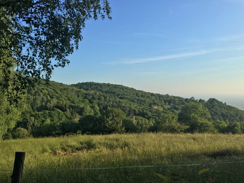 Prato in pendenza sopra Civine, con l'erba alta mossa dal vento; oltre il filo di una recinzione, colline boscose e il cielo sereno del mattino.